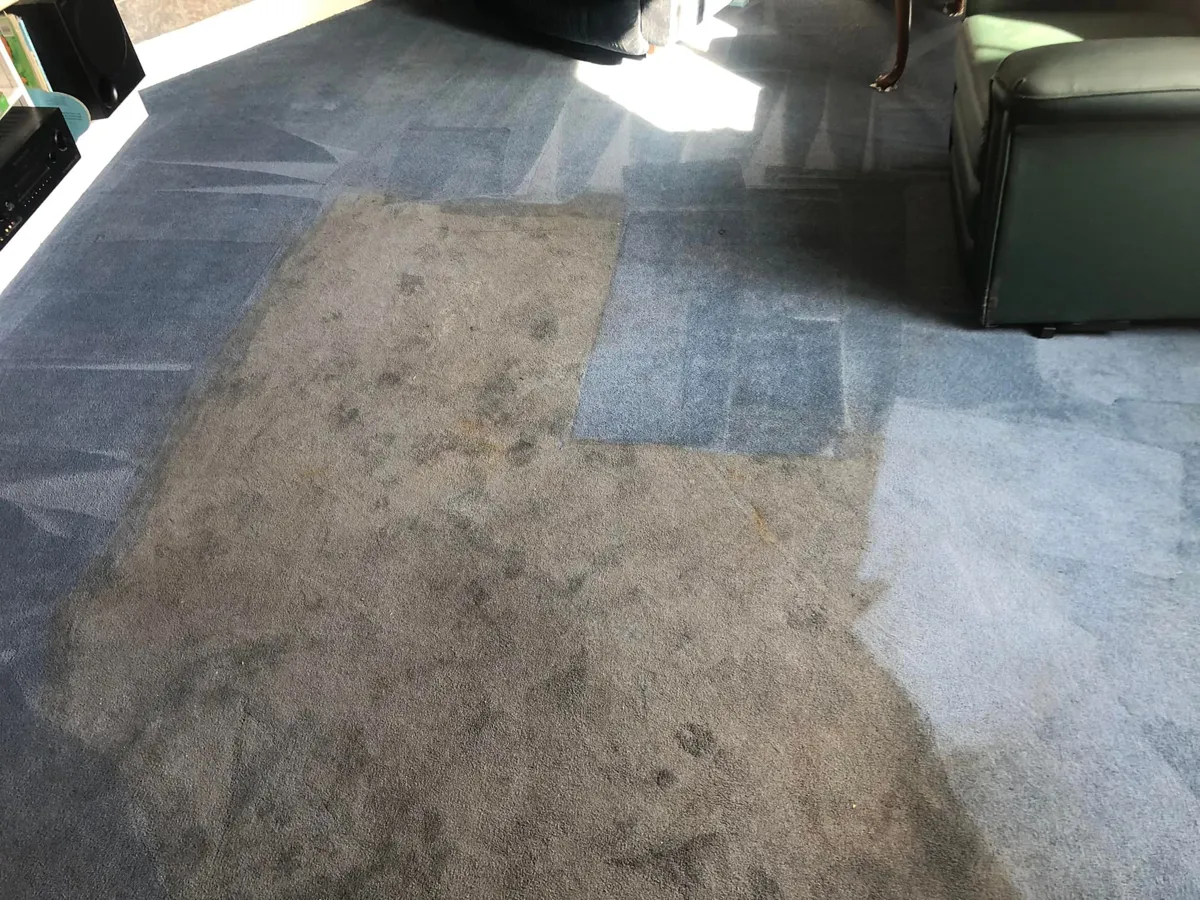 Carpet cleaning before and after in NE Indiana