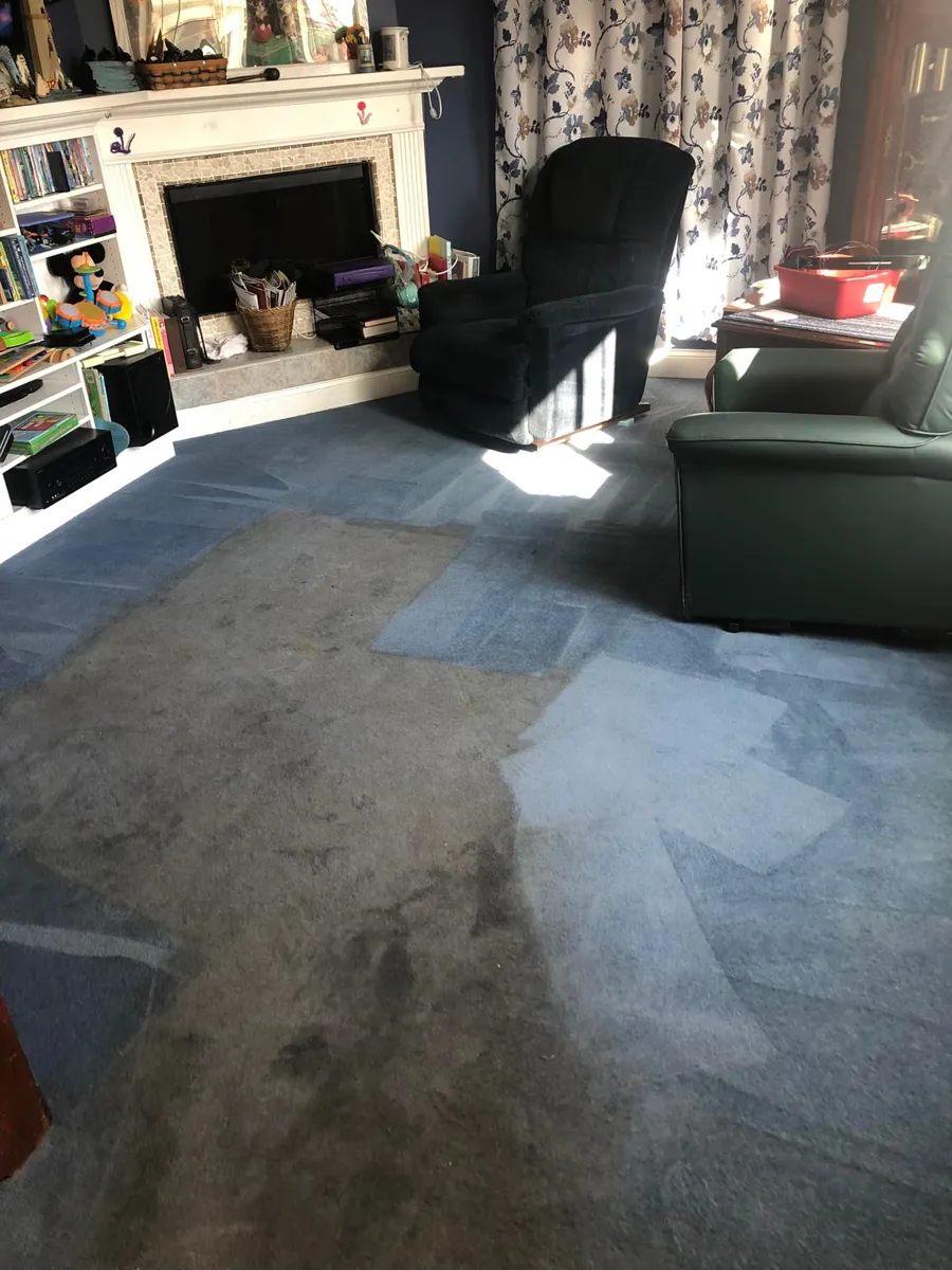 Upholstery and carpet cleaning in living room